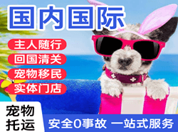 合肥新桥空运地址国际宠物托运 【国